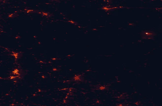 Satellite night-light map of the 100 km around the Poloniny Dark Sky Park, with Košice, Uzhhorod and Mukachevo marked
