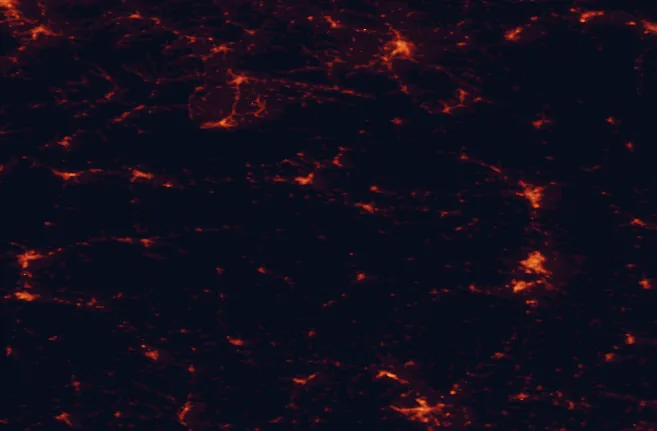Satellite night-light map of the 100 km around Slovak Paradise National Park, with Košice, Miskolc and Poprad marked