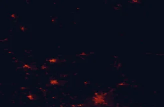 Satellite night-light map of the 50 km around Snina, with Uzhhorod, Humenné and Michalovce marked