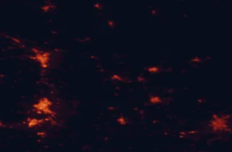 Satellite night-light map of the 50 km around Vranov nad Topľou, with Košice, Prešov and Uzhhorod marked
