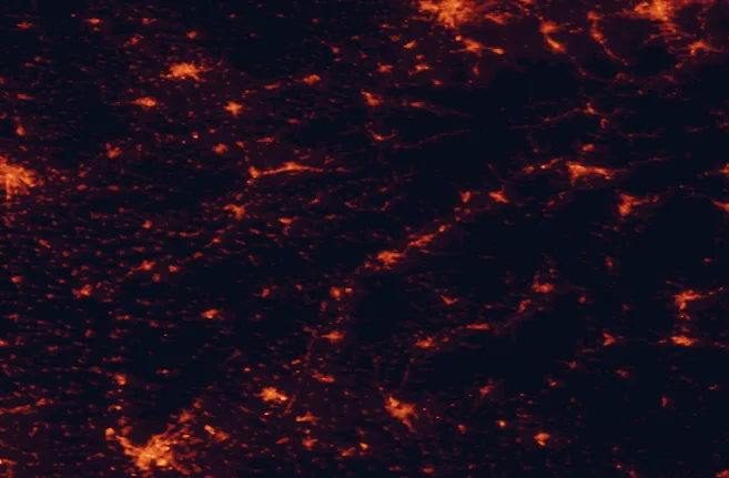 Satellite night-light map of the 100 km around Biele Karpaty Protected Landscape Area, with Bratislava, Trenčín and Zlín marked