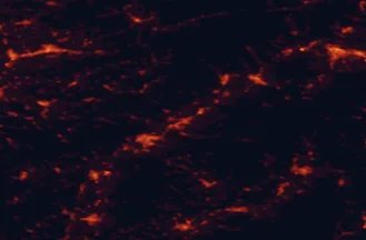 Satellite night-light map of the 50 km around Dubnica nad Váhom, with Trenčín, Žilina and Zlín marked
