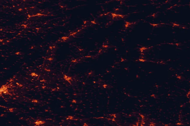 Satellite night-light map of the 100 km around Ponitrie Protected Landscape Area, with Nitra, Banská Bystrica and Győr marked