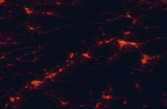 Satellite night-light map of the 50 km around Považská Bystrica, with Žilina, Trenčín and Martin marked