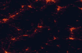 Satellite night-light map of the 50 km around Prievidza, with Banská Bystrica, Trenčín and Martin marked