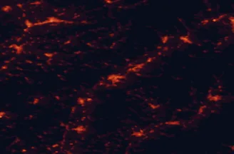 Satellite night-light map of the 50 km around Trenčín, with Zlín, Dubnica nad Váhom and Prievidza marked
