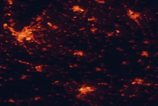 Satellite night-light map of the 50 km around Dunajská Streda, with Bratislava, Győr and Petržalka marked