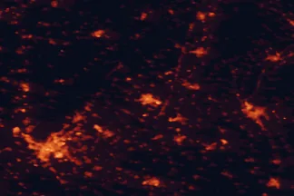 Satellite night-light map of the 50 km around Trnava, with Bratislava, Petržalka and Nitra marked