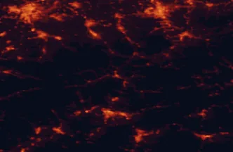 Satellite night-light map of the 50 km around Čadca, with Ostrava, Bielsko-Biala and Žilina marked