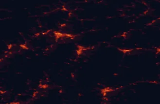 Satellite night-light map of the 50 km around Martin, with Žilina, Banská Bystrica and Prievidza marked