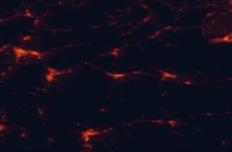 Satellite night-light map of the 50 km around Ružomberok, with Banská Bystrica, Žilina and Martin marked