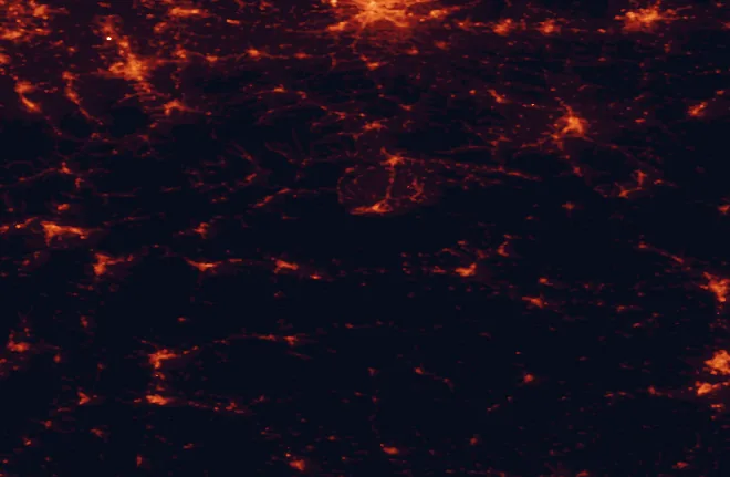 Satellite night-light map of the 100 km around Tatra National Park (Slovakia), with Bielsko-Biala, Poprad and Nowy Sącz marked