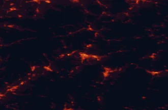 Satellite night-light map of the 50 km around Žilina, with Martin, Považská Bystrica and Kysucké Nové Mesto marked