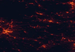 Satellite night-light map of the 50 km around Trbovlje, with Ljubljana, Celje and Maribor marked