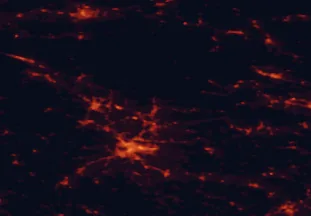 Satellite night-light map of the 50 km around Kamnik, with Ljubljana, Klagenfurt am Wörthersee and Kranj marked
