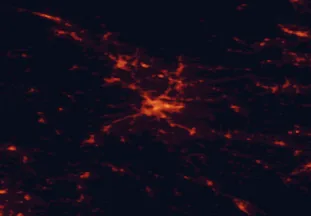 Satellite night-light map of the 50 km around Ljubljana, with Kranj, Domžale and Kamnik marked