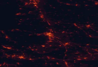 Satellite night-light map of the 50 km around Maribor, with Celje, Ptuj and Velenje marked