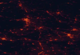Satellite night-light map of the 50 km around Ptuj, with Maribor, Varaždin and Celje marked