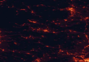 Satellite night-light map of the 50 km around Celje, with Maribor, Velenje and Trbovlje marked