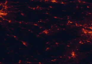 Satellite night-light map of the 50 km around Novo Mesto, with Karlovac, Samobor and Trbovlje marked