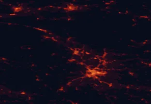 Satellite night-light map of the 50 km around Kranj, with Ljubljana, Klagenfurt am Wörthersee and Villach marked