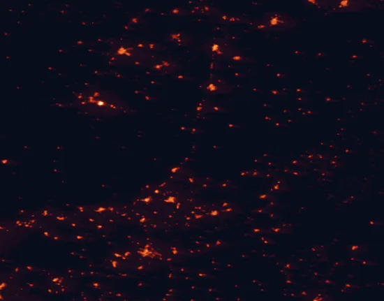 Satellite night-light map of the 100 km around Despeñaperros Natural Park, with Jaén, Linares and Campiña marked