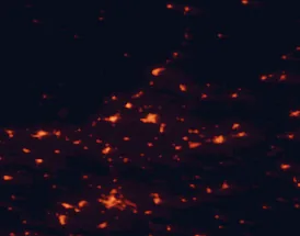 Satellite night-light map of the 50 km around Linares, with Jaén, Úbeda and Bailén marked