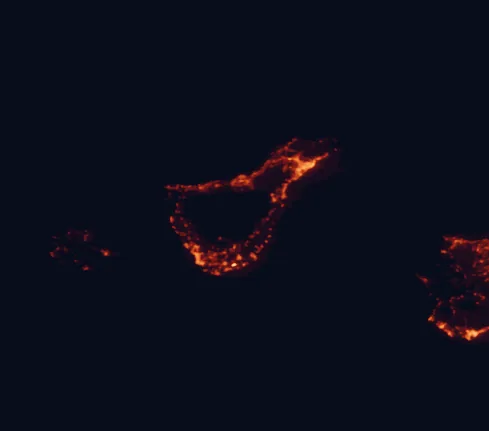 Satellite night-light map of the 100 km around Corona Forestal Natural Park, with Santa Cruz de Tenerife, La Laguna and Arona marked