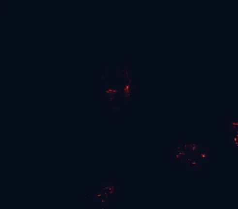 Satellite night-light map of the 100 km around Cumbre Vieja Natural Park, with Los Llanos de Aridane, Santa Cruz de la Palma and San Sebastián de la Gomera marked