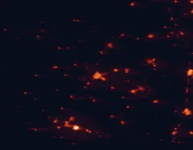 Satellite night-light map of the 50 km around Ciudad Real, with Puertollano, Valdepeñas and Daimiel marked