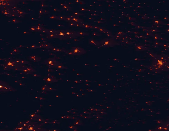 Satellite night-light map of the 100 km around Lagunas de Ruidera Natural Park, with Albacete, Tomelloso and Ciudad Real marked