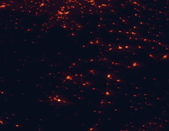 Satellite night-light map of the 100 km around Tablas de Daimiel National Park, with Ciudad Real, Toledo and Puertollano marked