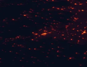 Satellite night-light map of the 50 km around Talavera de la Reina, with Torrijos, Calera y Chozas and La Puebla de Montalbán marked