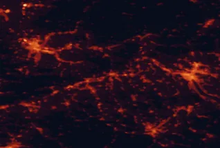 Satellite night-light map of the 50 km around Aarau, with Zürich, Basel and Luzern marked