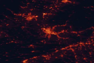 Satellite night-light map of the 50 km around Basel, with Mulhouse, Lörrach and Weil am Rhein marked
