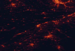 Satellite night-light map of the 50 km around Biel/Bienne, with Bern, Basel and Köniz marked