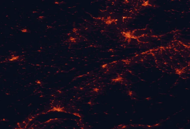 Satellite night-light map of the 100 km around Chasseral Regional Park, with Basel, Bern and Biel/Bienne marked
