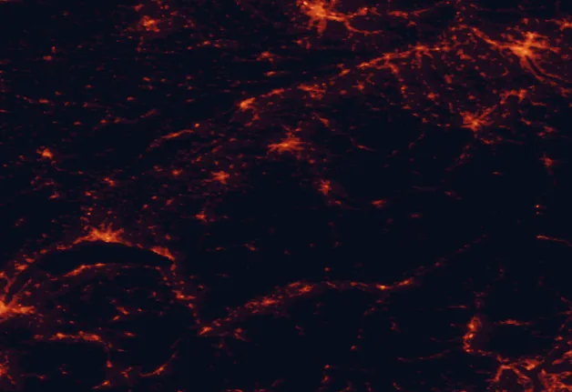 Satellite night-light map of the 100 km around Gantrisch, with Zürich, Bern and Lausanne marked