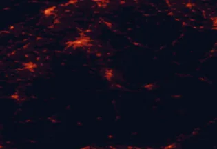 Satellite night-light map of the 50 km around Thun, with Bern, Köniz and Biel/Bienne marked