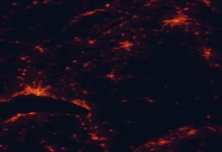 Satellite night-light map of the 50 km around Bulle, with Lausanne, Bern and Fribourg marked