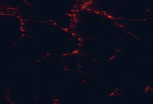 Satellite night-light map of the 50 km around Chur, with Feldkirch, Landquart and Domat marked