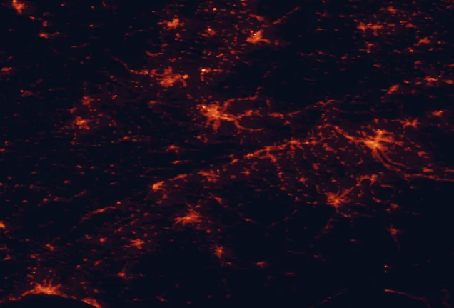 Satellite night-light map of the 100 km around Thal Nature Park, with Zürich, Basel and Freiburg marked
