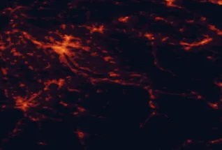 Satellite night-light map of the 50 km around Rapperswil, with Zürich, Winterthur and Luzern marked