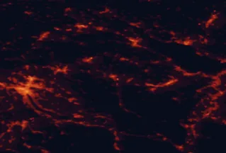 Satellite night-light map of the 50 km around Wil, with Zürich, Winterthur and Konstanz marked