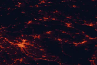 Satellite night-light map of the 50 km around Frauenfeld, with Zürich, Winterthur and Konstanz marked