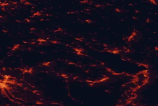 Satellite night-light map of the 50 km around Kreuzlingen, with Zürich, Winterthur and Sankt Gallen marked
