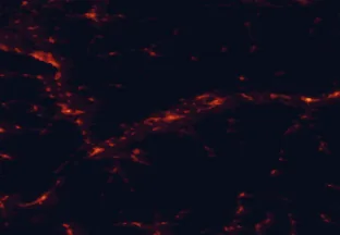 Satellite night-light map of the 50 km around Sion, with Sierre, Martigny-Ville and Montreux marked