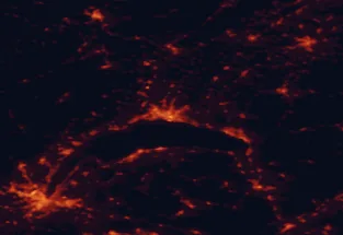 Satellite night-light map of the 50 km around Lausanne, with Geneva, Renens and Thonon-les-Bains marked