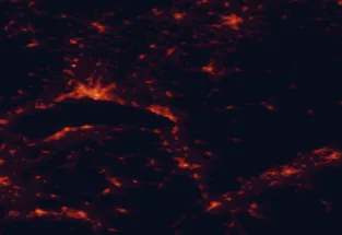Satellite night-light map of the 50 km around Montreux, with Lausanne, Vevey and Thonon-les-Bains marked