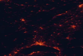 Satellite night-light map of the 50 km around Yverdon-les-Bains, with Lausanne, Neuchâtel and Fribourg marked